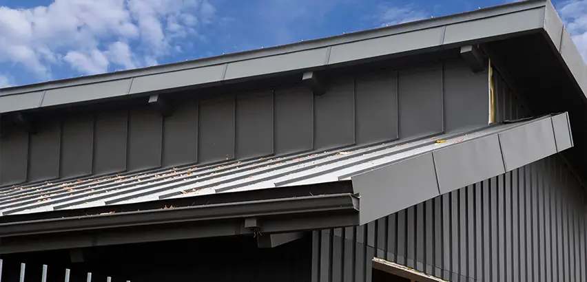 Professional Roof Eaves Installation Services in Windermere, FL