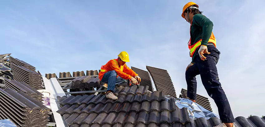 Professional Roofing Services in Windermere, FL