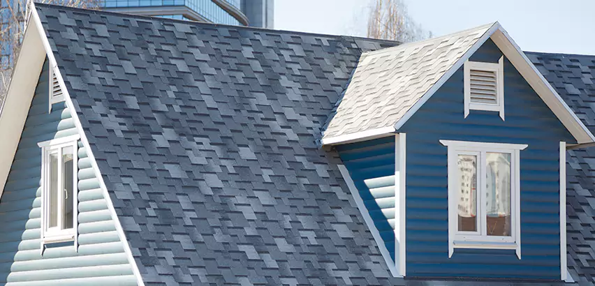 Shingle Roof Maintenance in Windermere