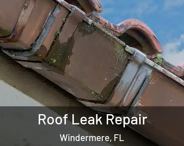  Roof Leak Repair Windermere, FL