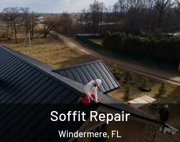  Soffit Repair Windermere, FL